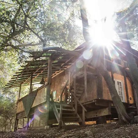 فيلا Japanese Tea House With Private Mountain Trails And Creek Topanga Park المظهر الخارجي الصورة