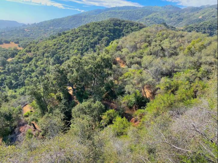 فيلا Japanese Tea House With Private Mountain Trails And Creek Topanga Park المظهر الخارجي الصورة
