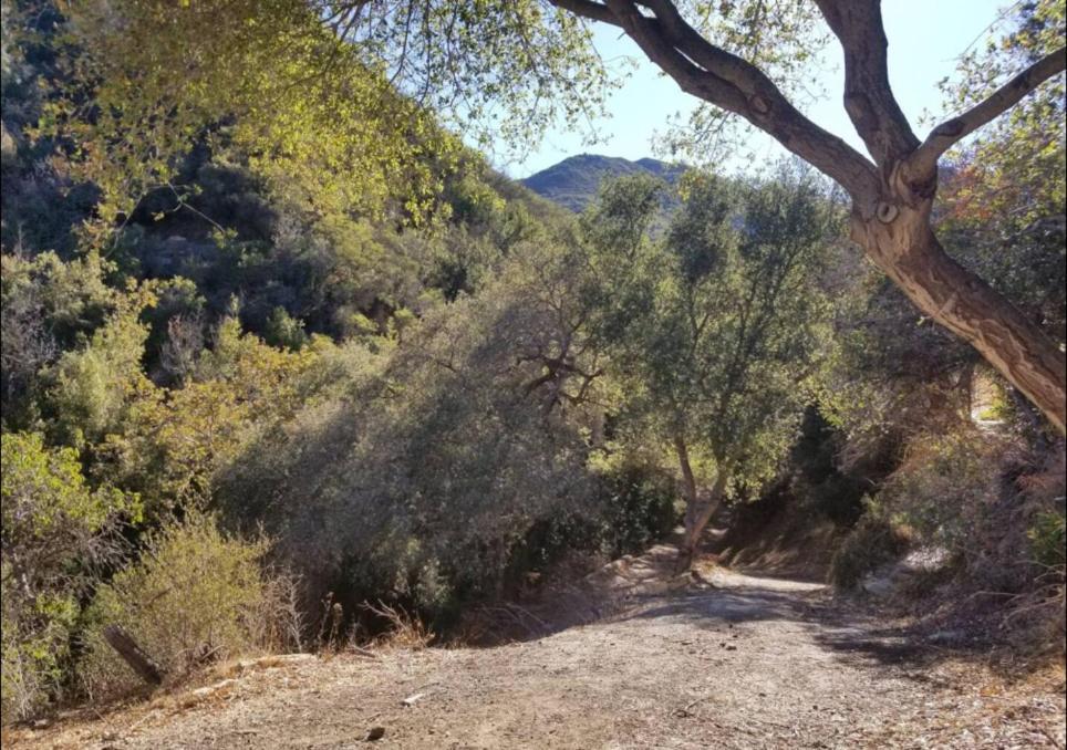 فيلا Japanese Tea House With Private Mountain Trails And Creek Topanga Park المظهر الخارجي الصورة